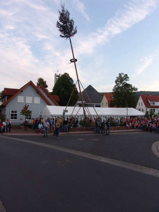 Bildergalerie Bild 41