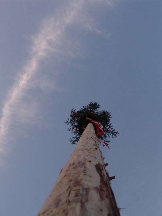 Bildergalerie Bild 55