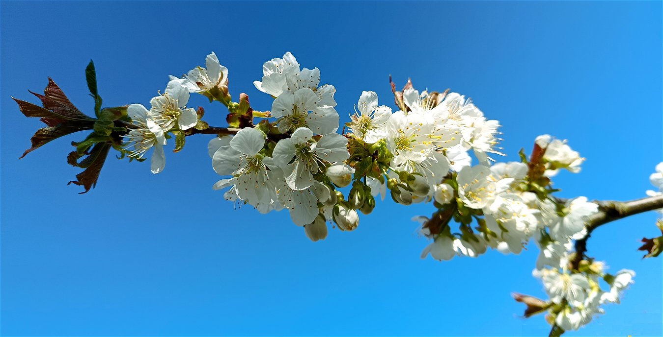 Neuanfang - vergrößern