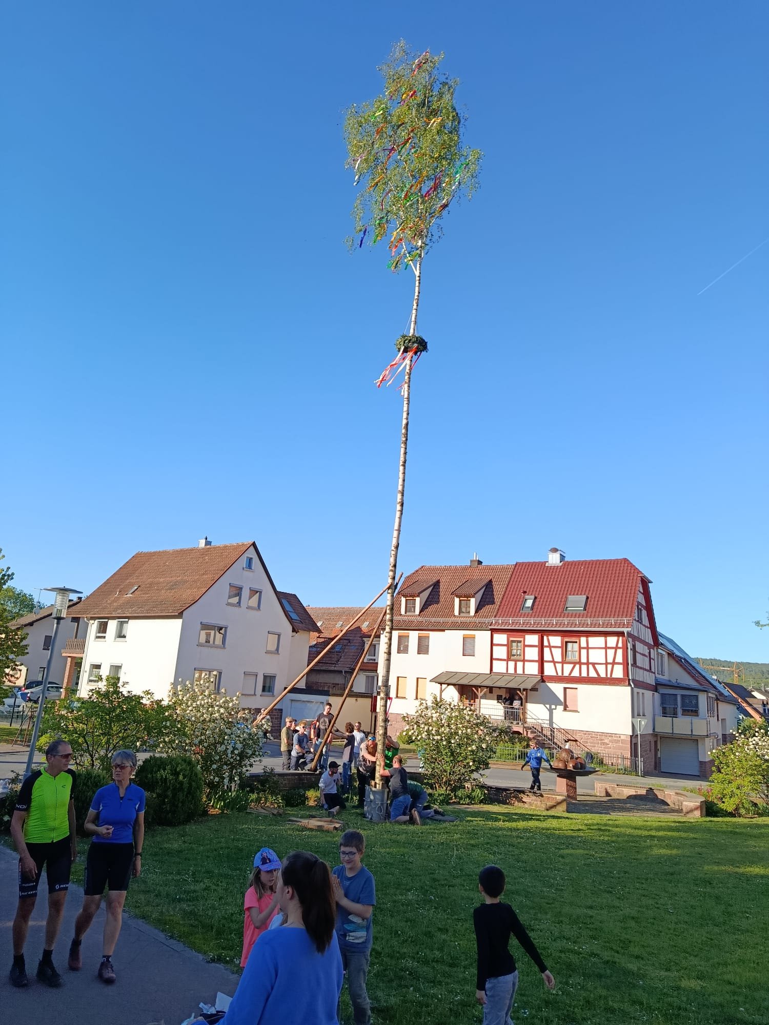 1. Mai, der Maibaum - vergrößern